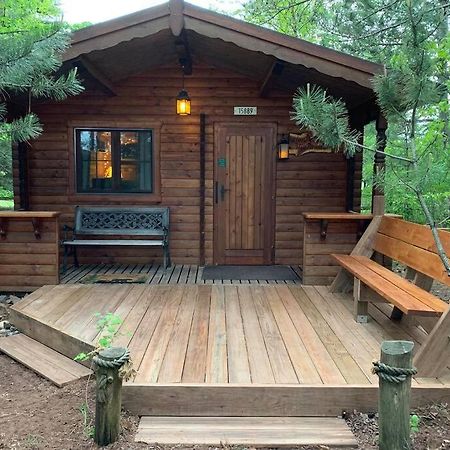Honeybear Hideaway Cabin Гейворд Екстер'єр фото