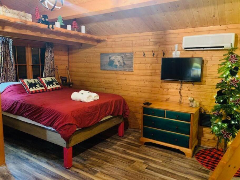 Honeybear Hideaway Cabin Гейворд Екстер'єр фото