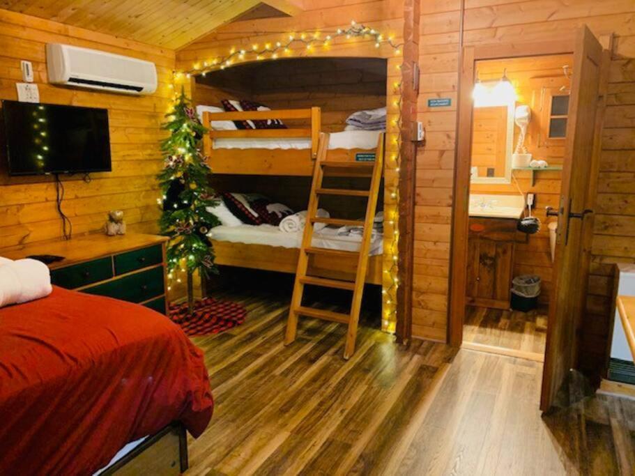 Honeybear Hideaway Cabin Гейворд Екстер'єр фото