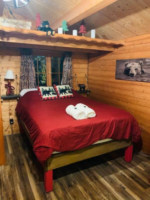 Honeybear Hideaway Cabin Гейворд Екстер'єр фото