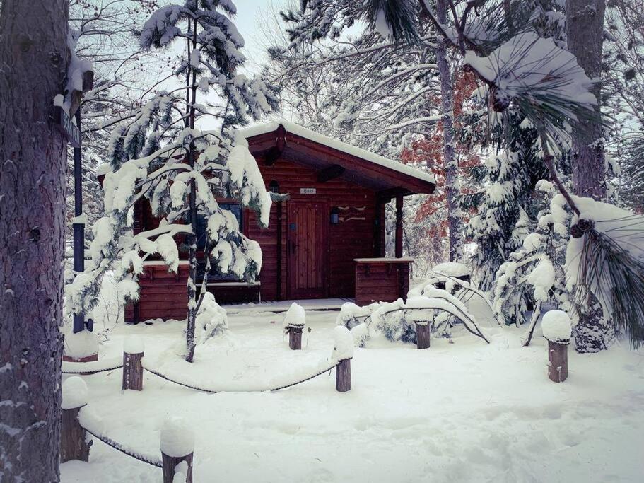 Honeybear Hideaway Cabin Гейворд Екстер'єр фото