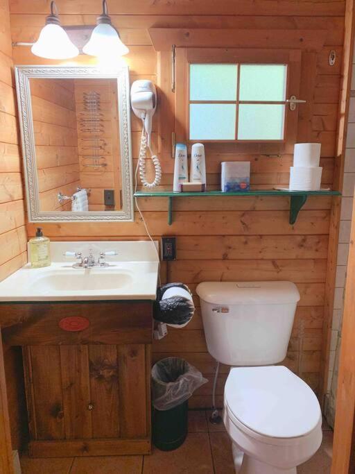 Honeybear Hideaway Cabin Гейворд Екстер'єр фото