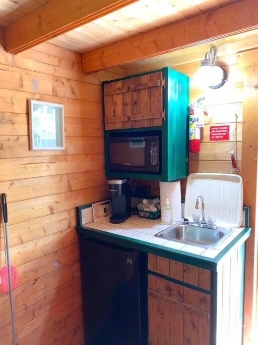 Honeybear Hideaway Cabin Гейворд Екстер'єр фото