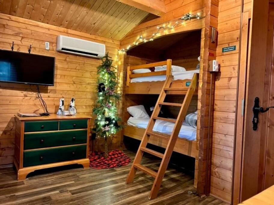 Honeybear Hideaway Cabin Гейворд Екстер'єр фото